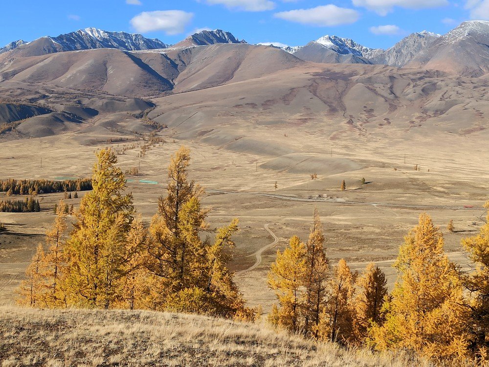 Photograph by Фурсова Людмила