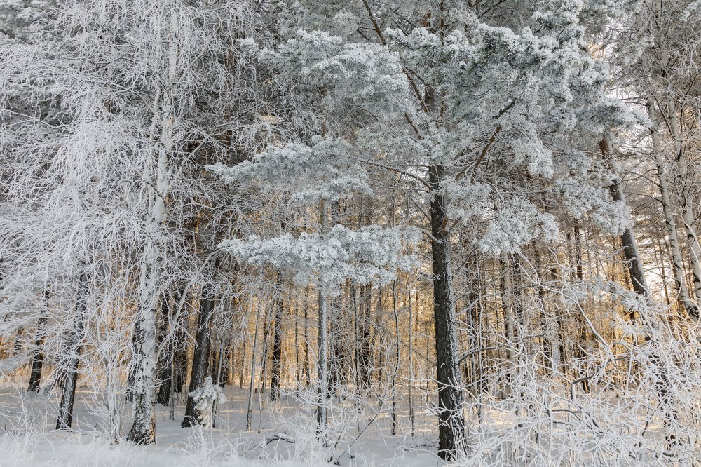 Photograph by Евгений Наймушин