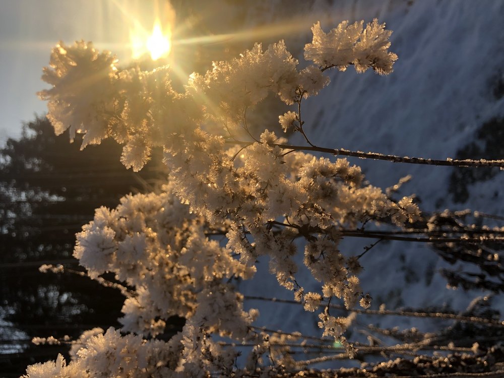 Photograph by Светлана Теслина