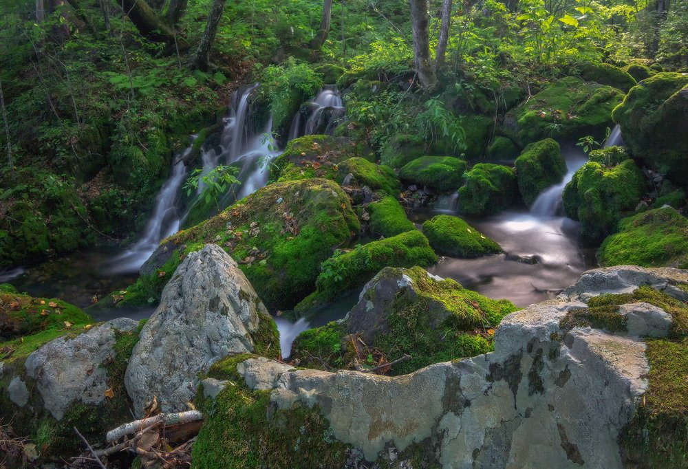 Photograph by Александр Кузнецов