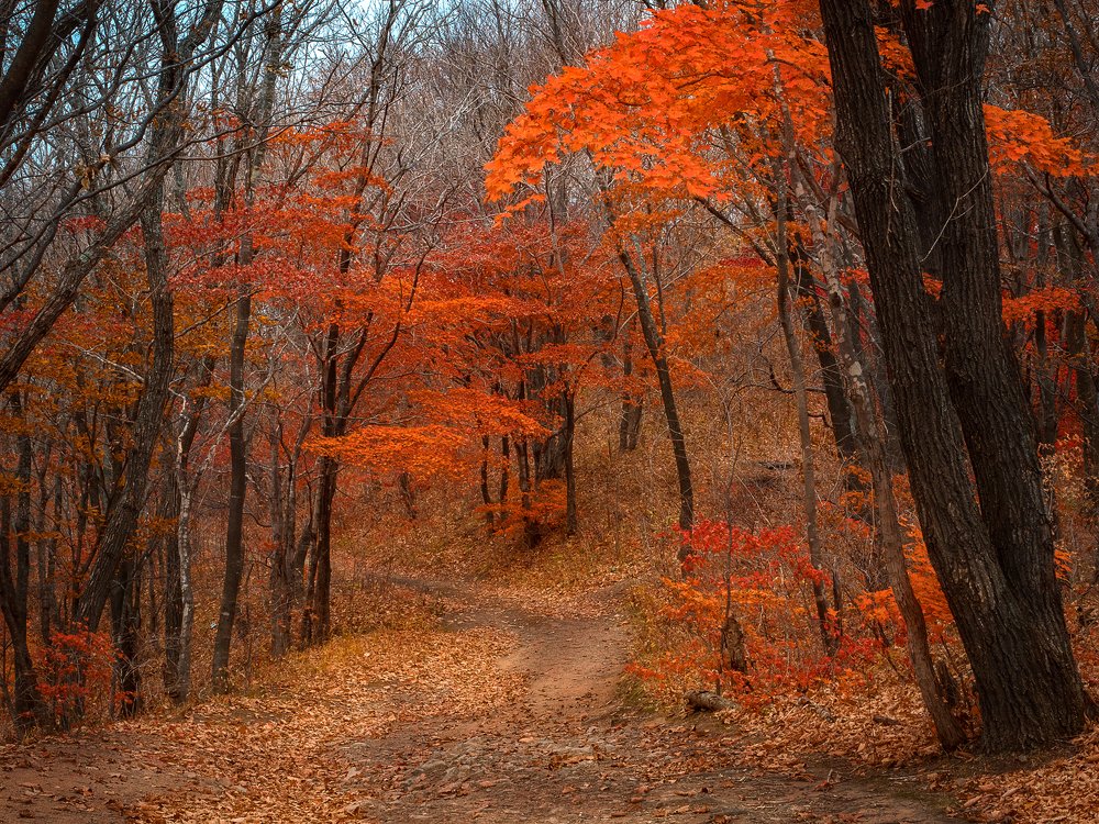 Photograph by Матвей Матвеев