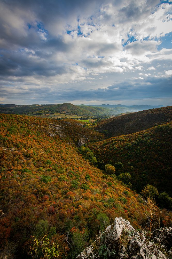 Photograph by Ostojic Marko