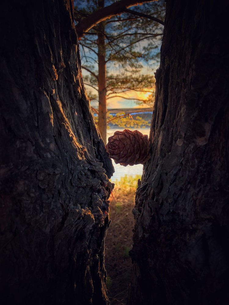 Photograph by Валентина Старикова