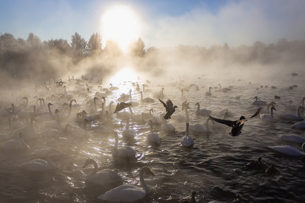 Фотография автора Сергей Голубев