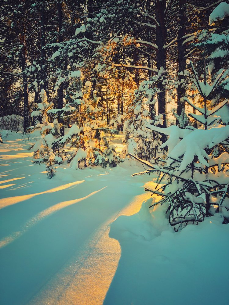 Photograph by Валентина Старикова