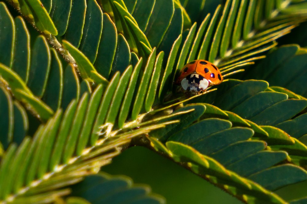 Photograph by Mónica Castaño