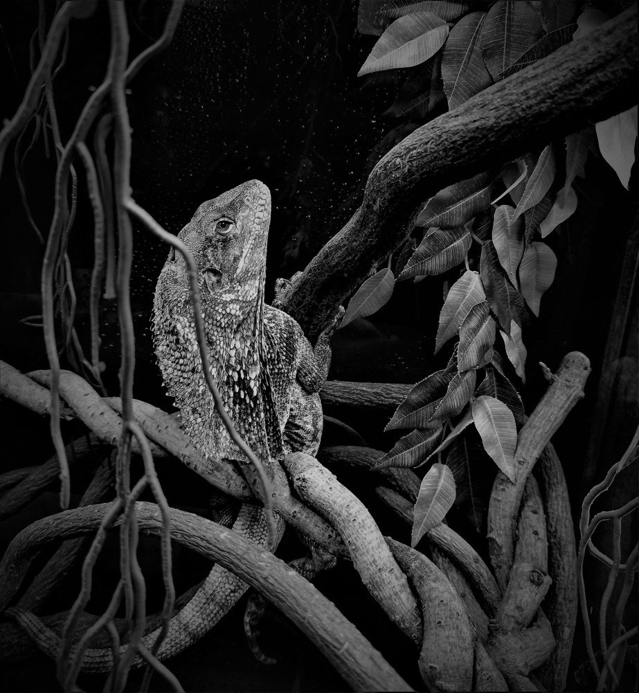 Photograph by Сергей Лобозов