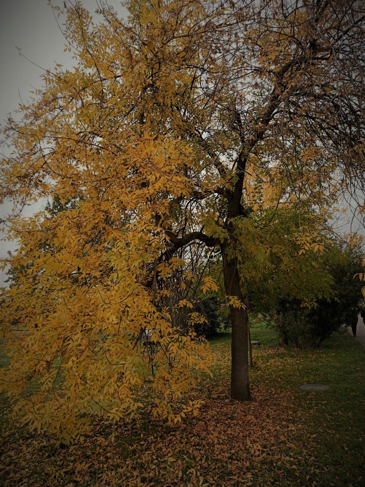 Photograph by Сергей Лобозов