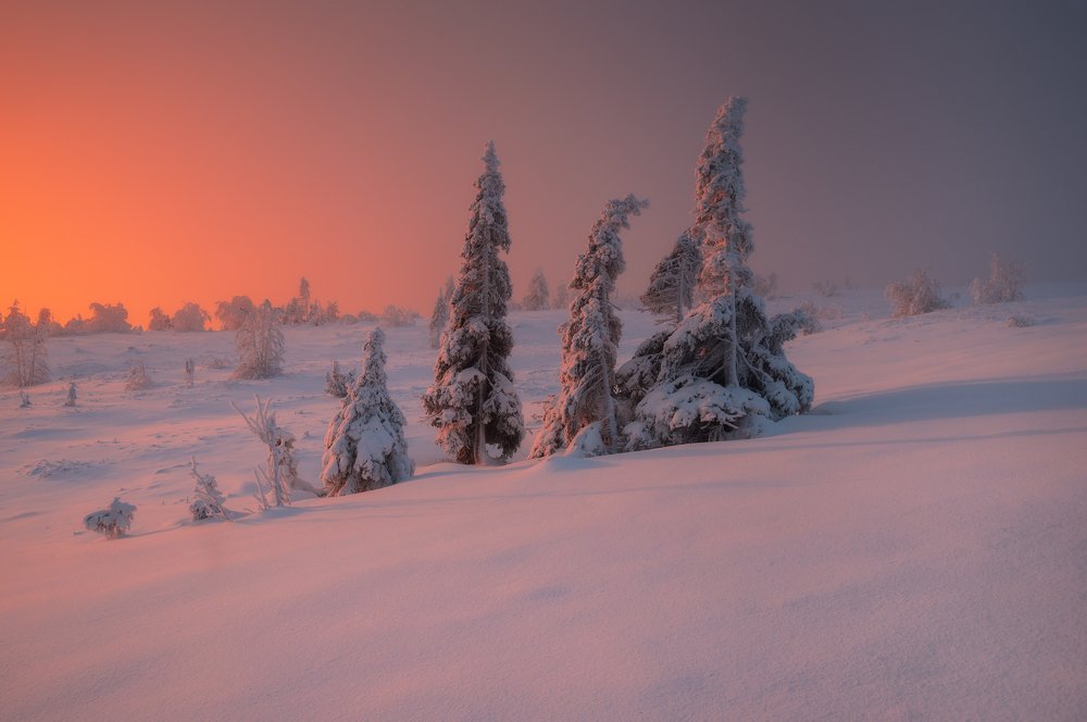 Photograph by Виталий Истомин