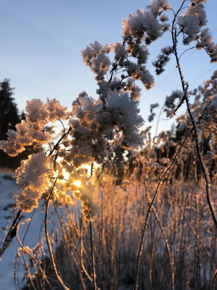 Photograph by Светлана Теслина