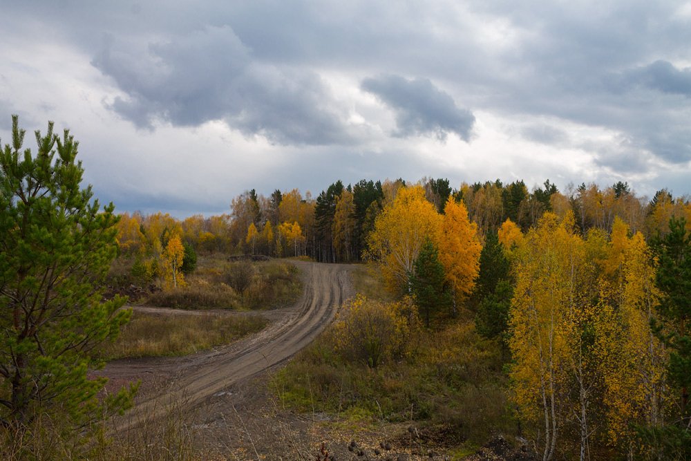 Photograph by Курочкина Диана