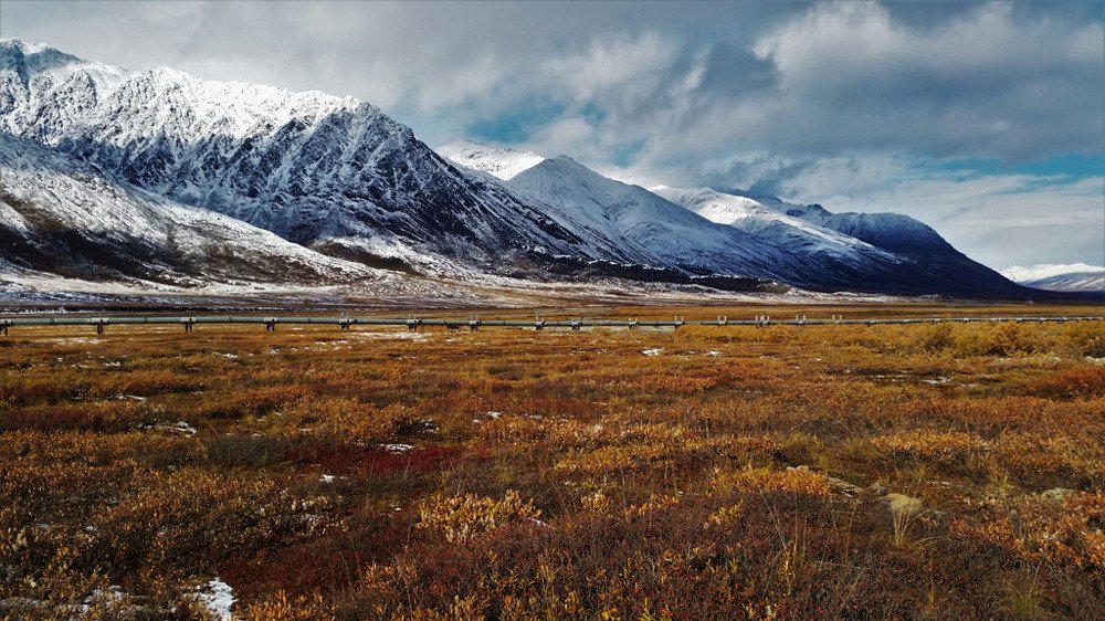 Photograph by Nirmalya Chakraborty