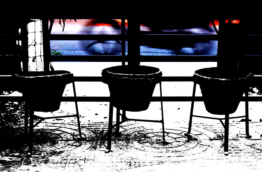 The Lost Colour of Life