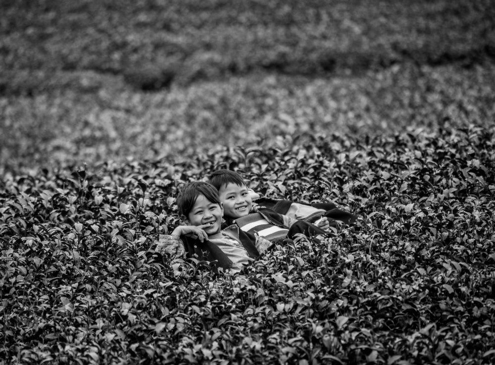 Photograph by son dam minh