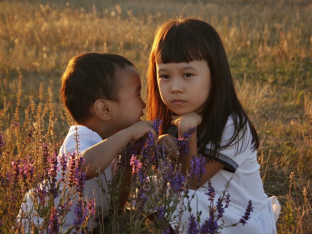 Племянники