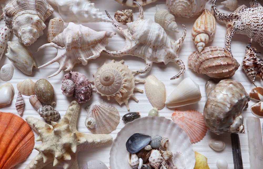 Photograph by Елена Врублевская