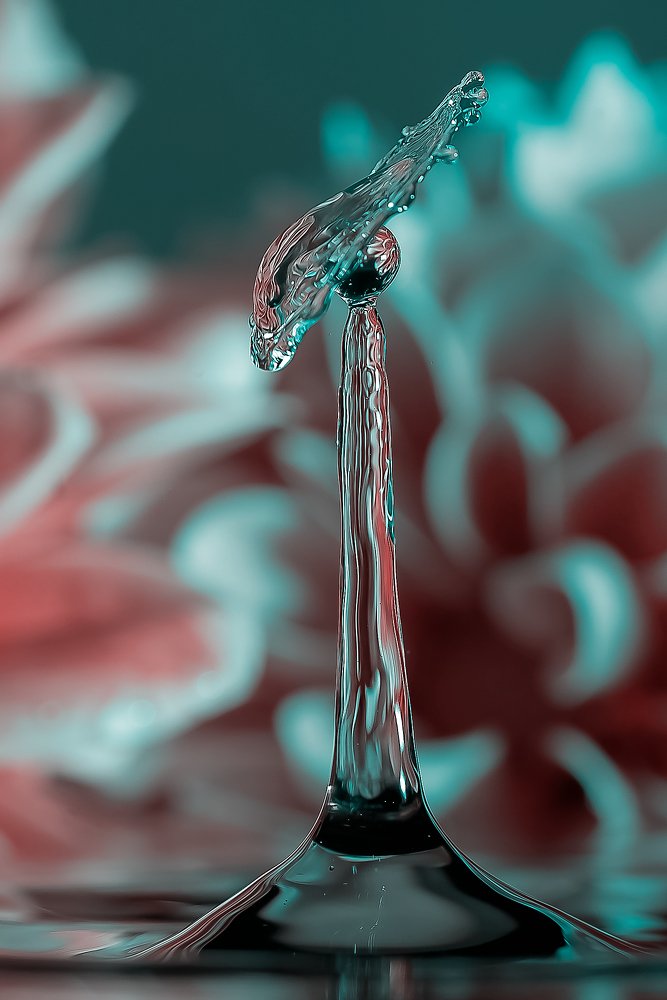 Photograph by Алексей Козлов