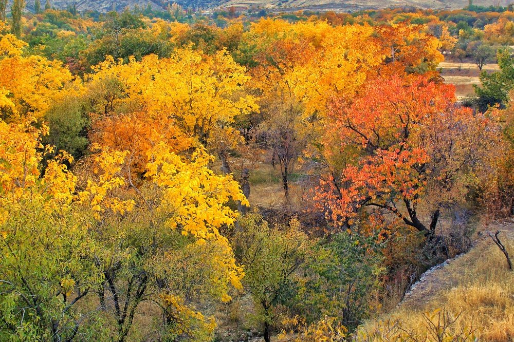 روستای کاسوا قم ایران