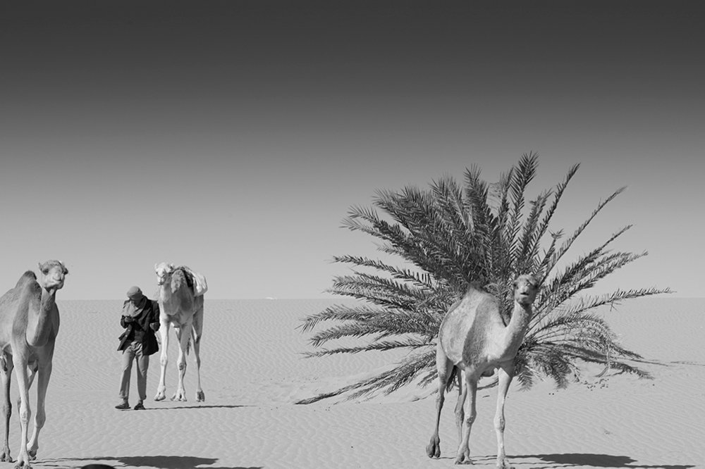 Photograph by abdallah khalili