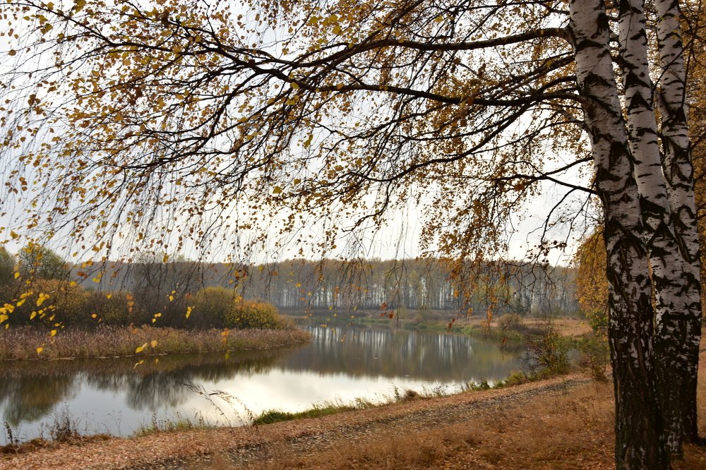 Photograph by Валерий Гудков