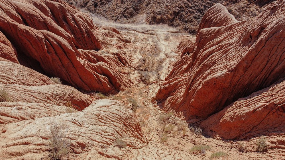 Photograph by Евгений Филиппов