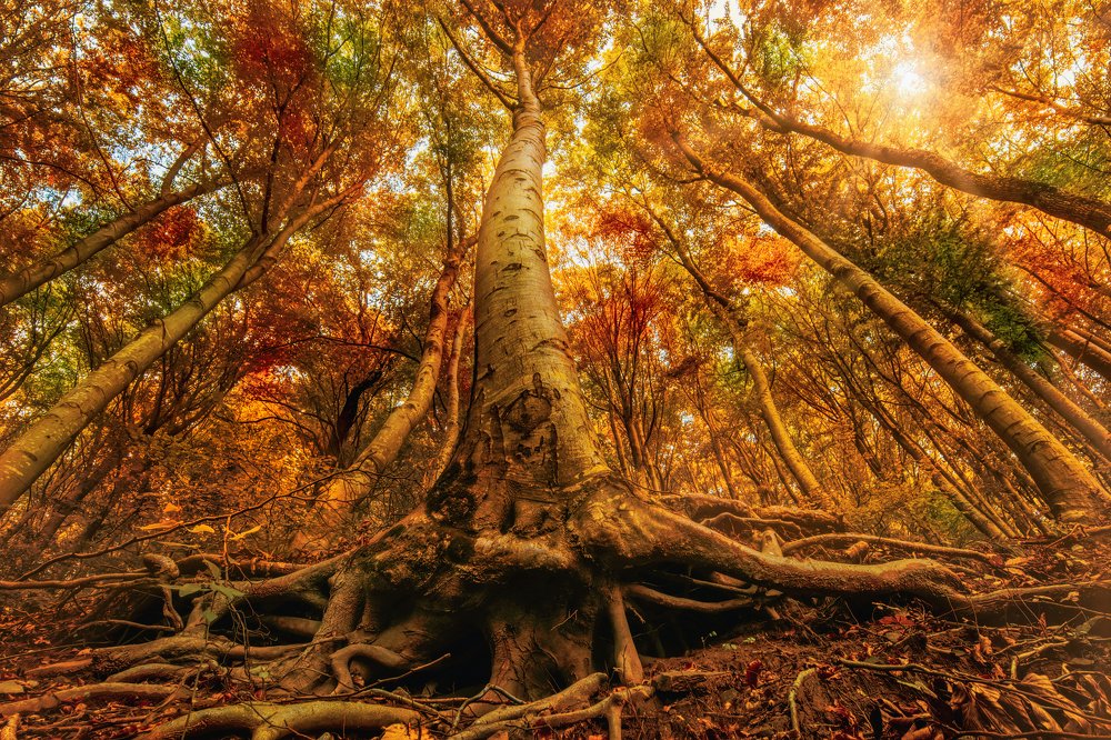 Photograph by Sara Jazbar