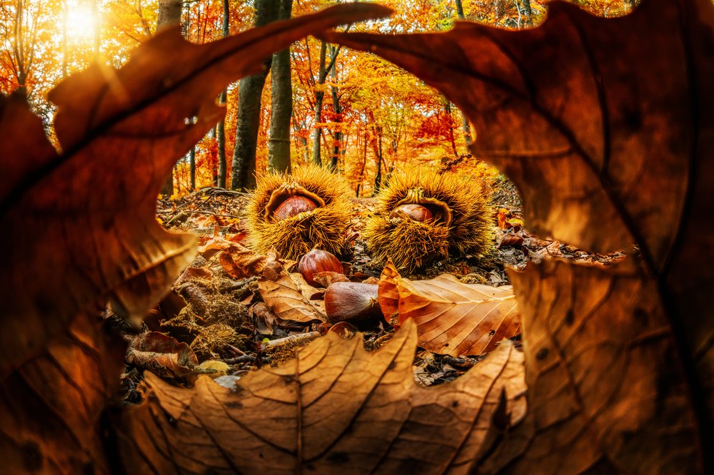 Photograph by Sara Jazbar