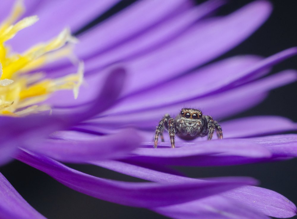 Photograph by Александр Воднев