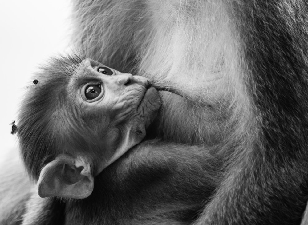 Photograph by son dam minh