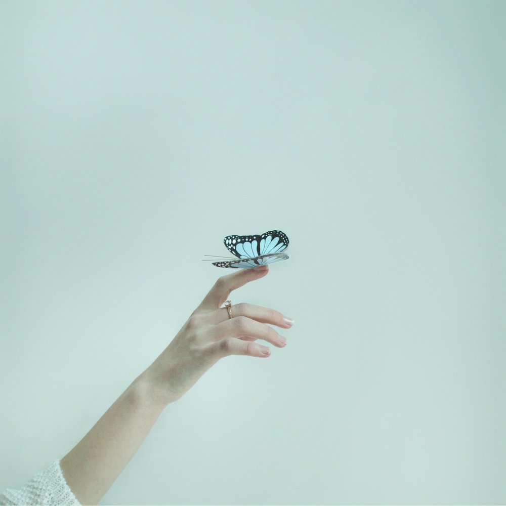 Photograph by Григорий Лета