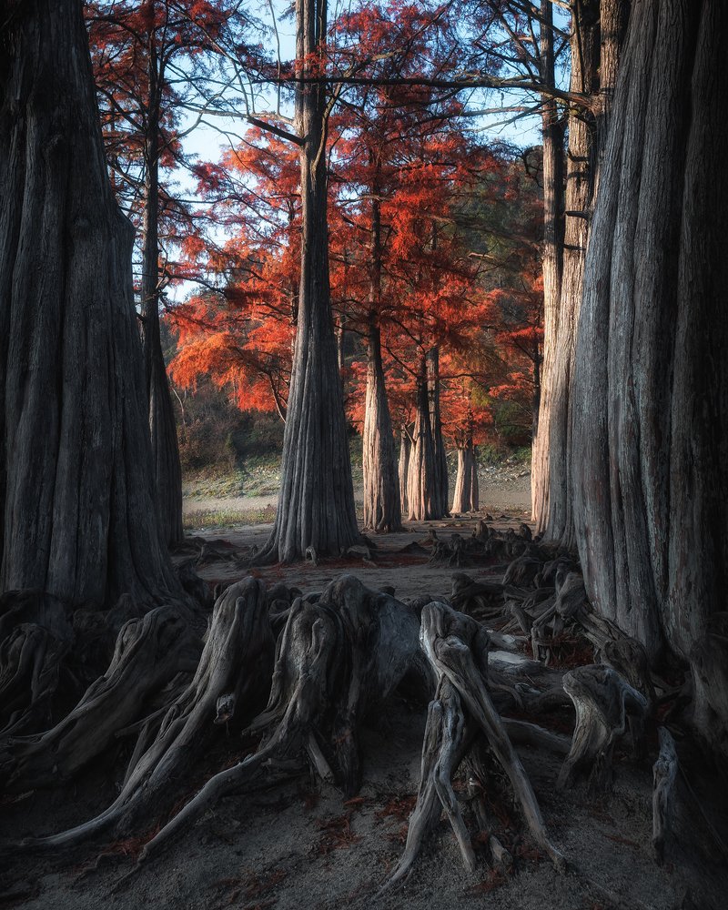 Photograph by Скалин Алексей