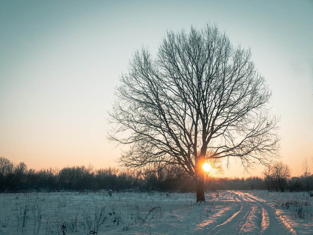 Зимний рассвет