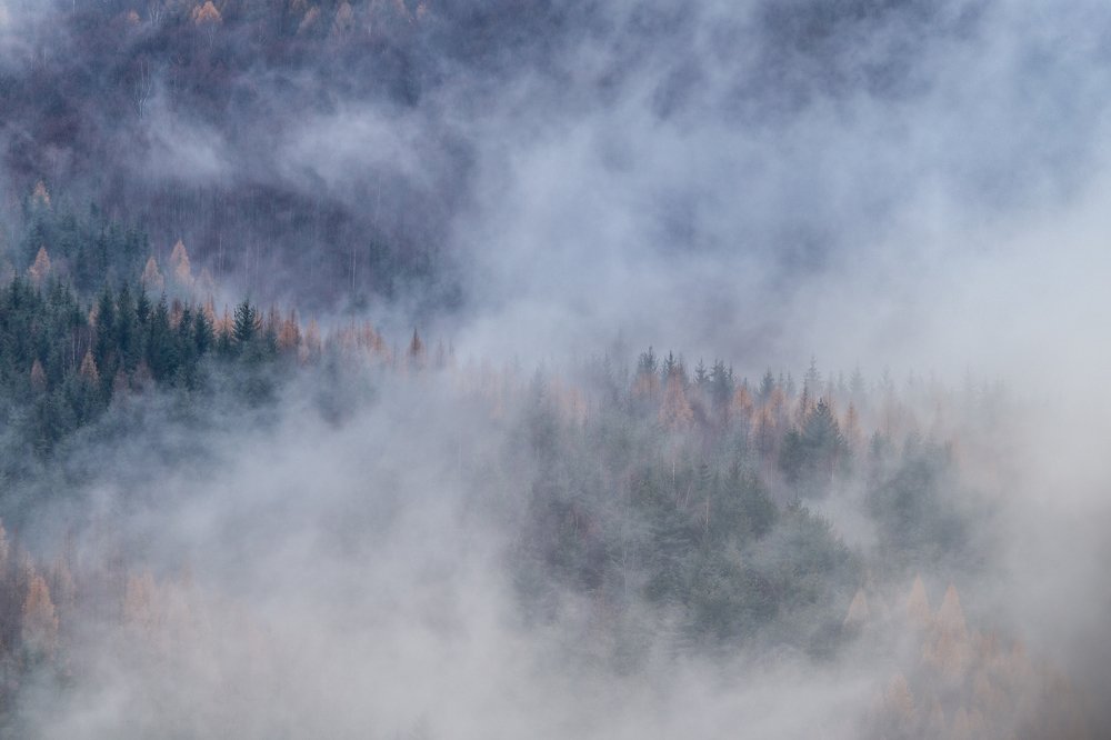 Photograph by Dzintra Zvagina