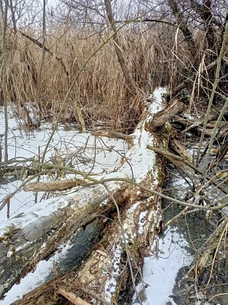 Photograph by Юлия Кожемякина