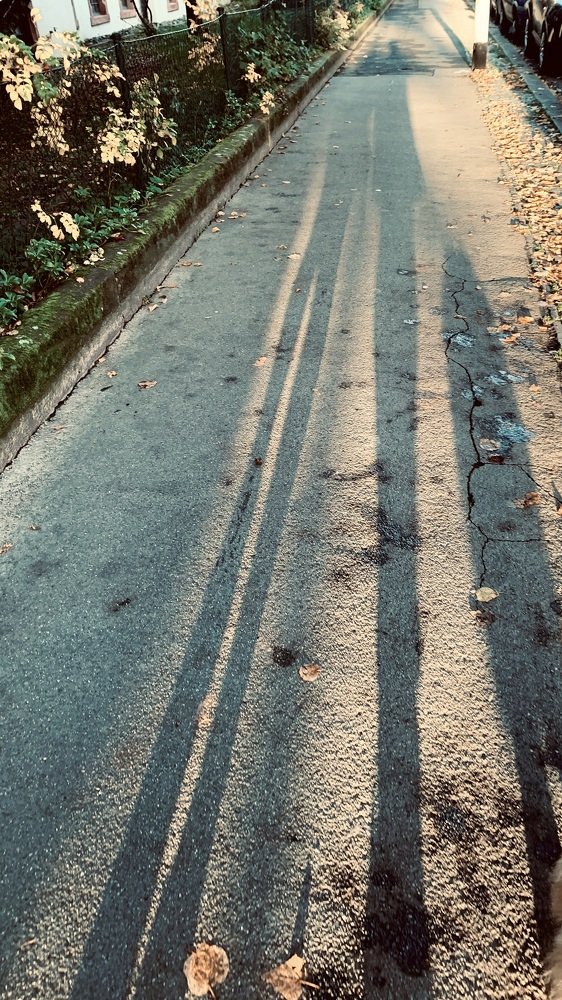 Фотография автора Vera Dobychina