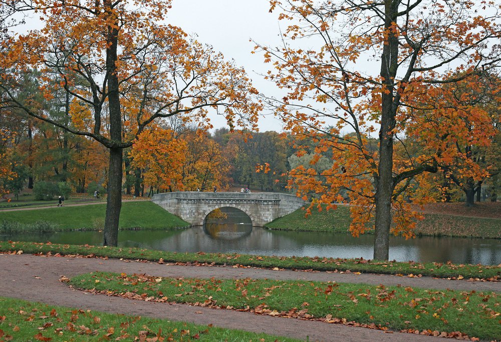 Photograph by Галина