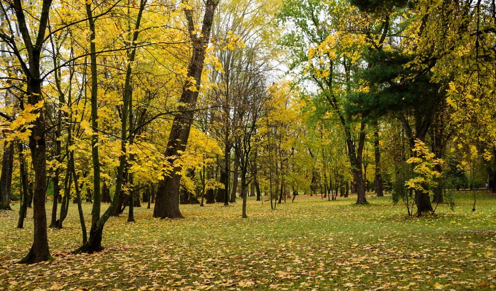 Photograph by Андрей Савицкий