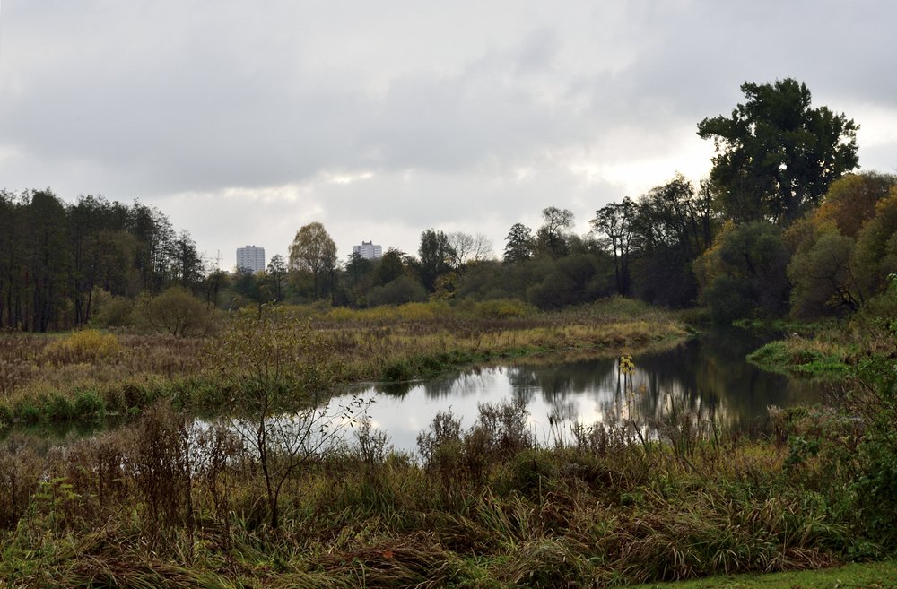 Photograph by Андрей Савицкий