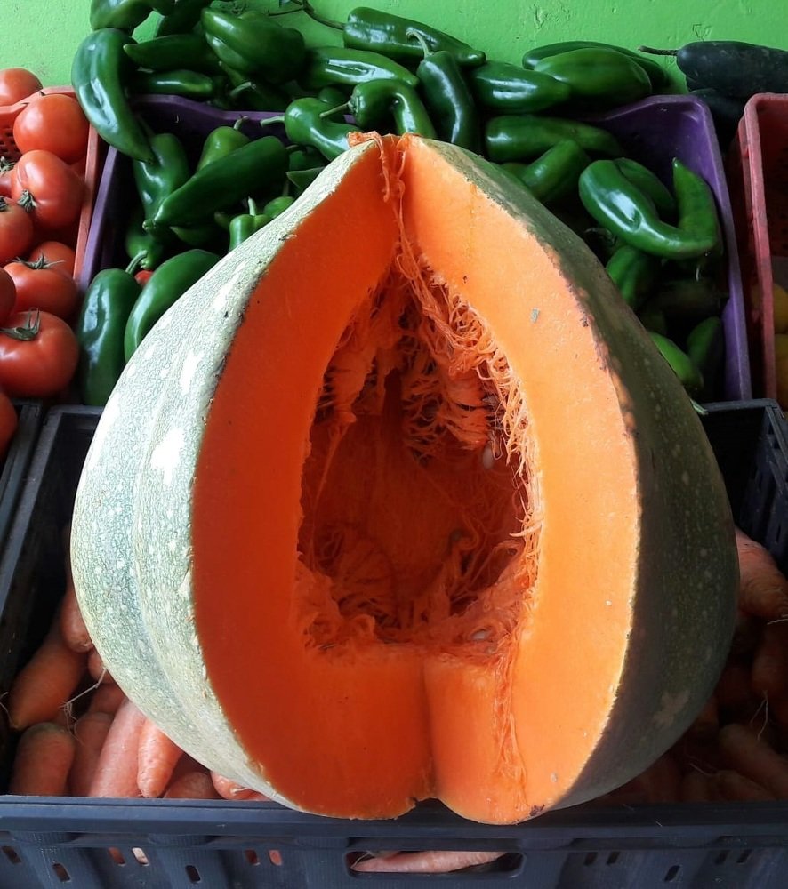 Photograph by Salih Aqeil