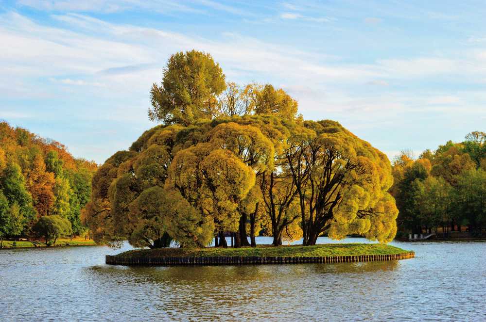 Жёлтая осень.
