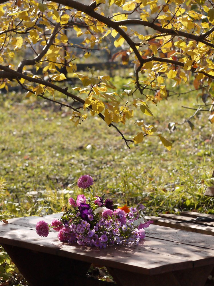 Photograph by Ольга Федосенко