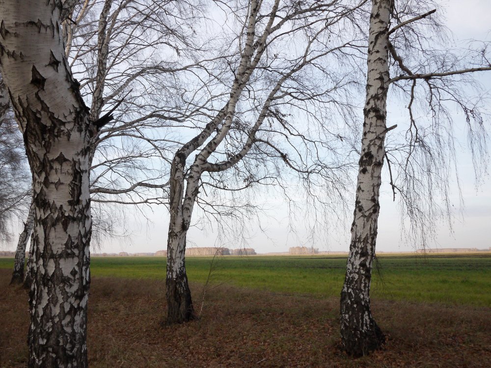 Photograph by Ольга Федосенко