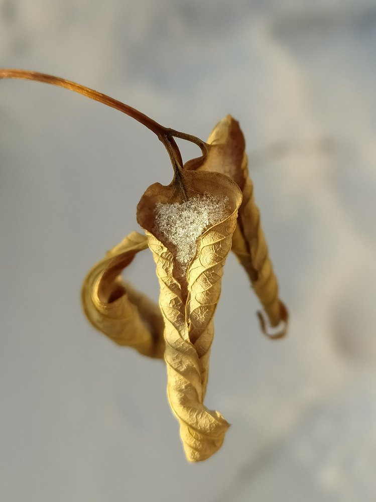 Photograph by Екатерина Зубарева