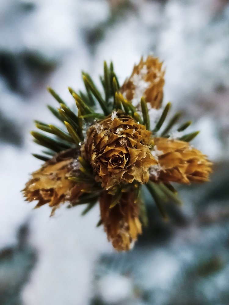 Photograph by Екатерина Зубарева