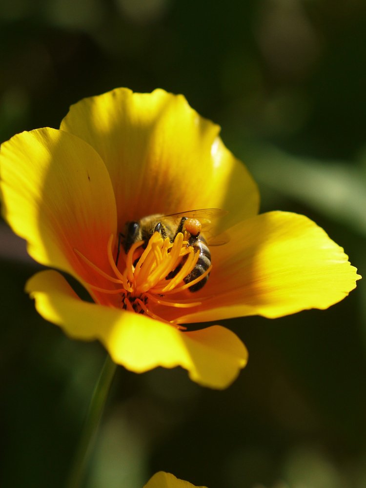 Photograph by Ольга Федосенко