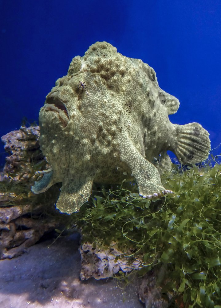 Photograph by Лариса Рулёва