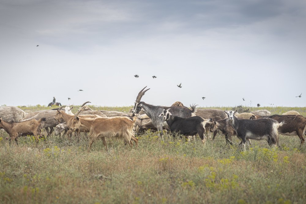 Photograph by Vladimir Soroka