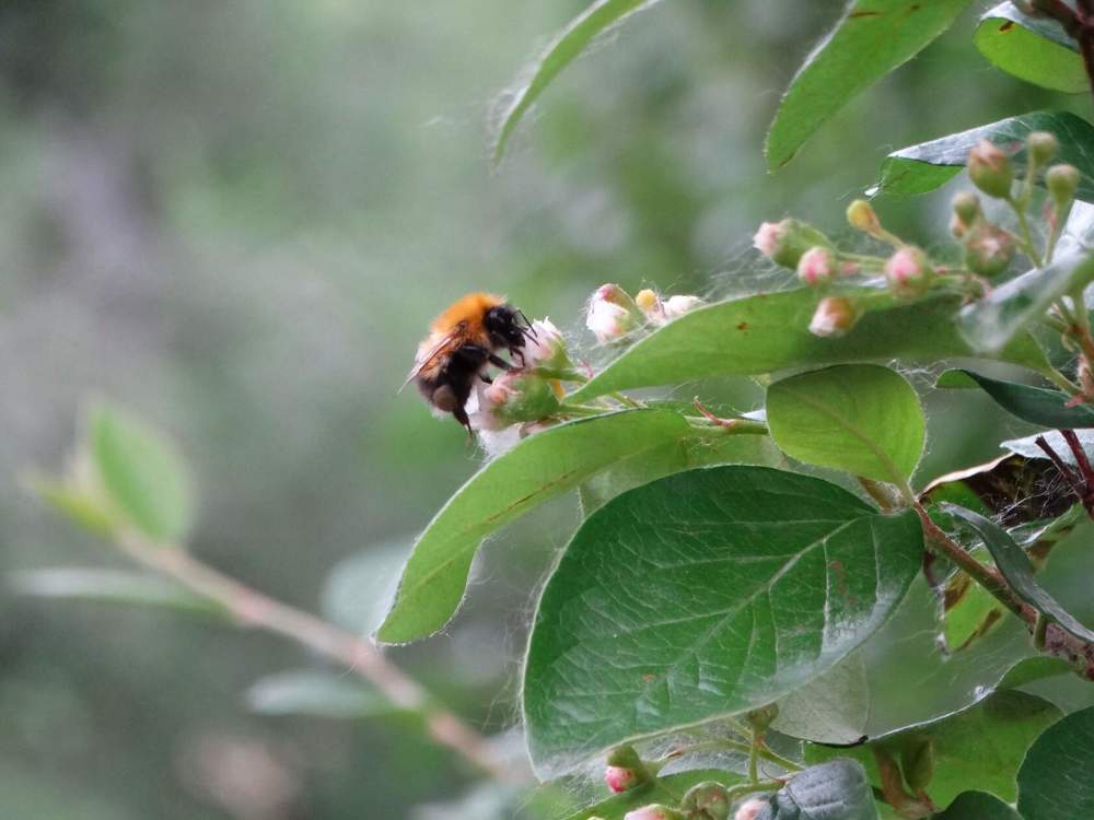 Photograph by Анжелика Трошина