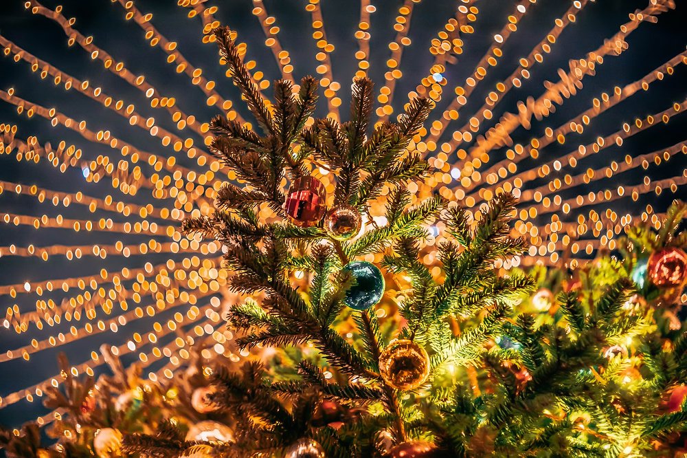 Photograph by Дмитрий Трепольский