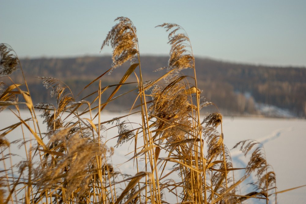 Photograph by Денис Геранькин